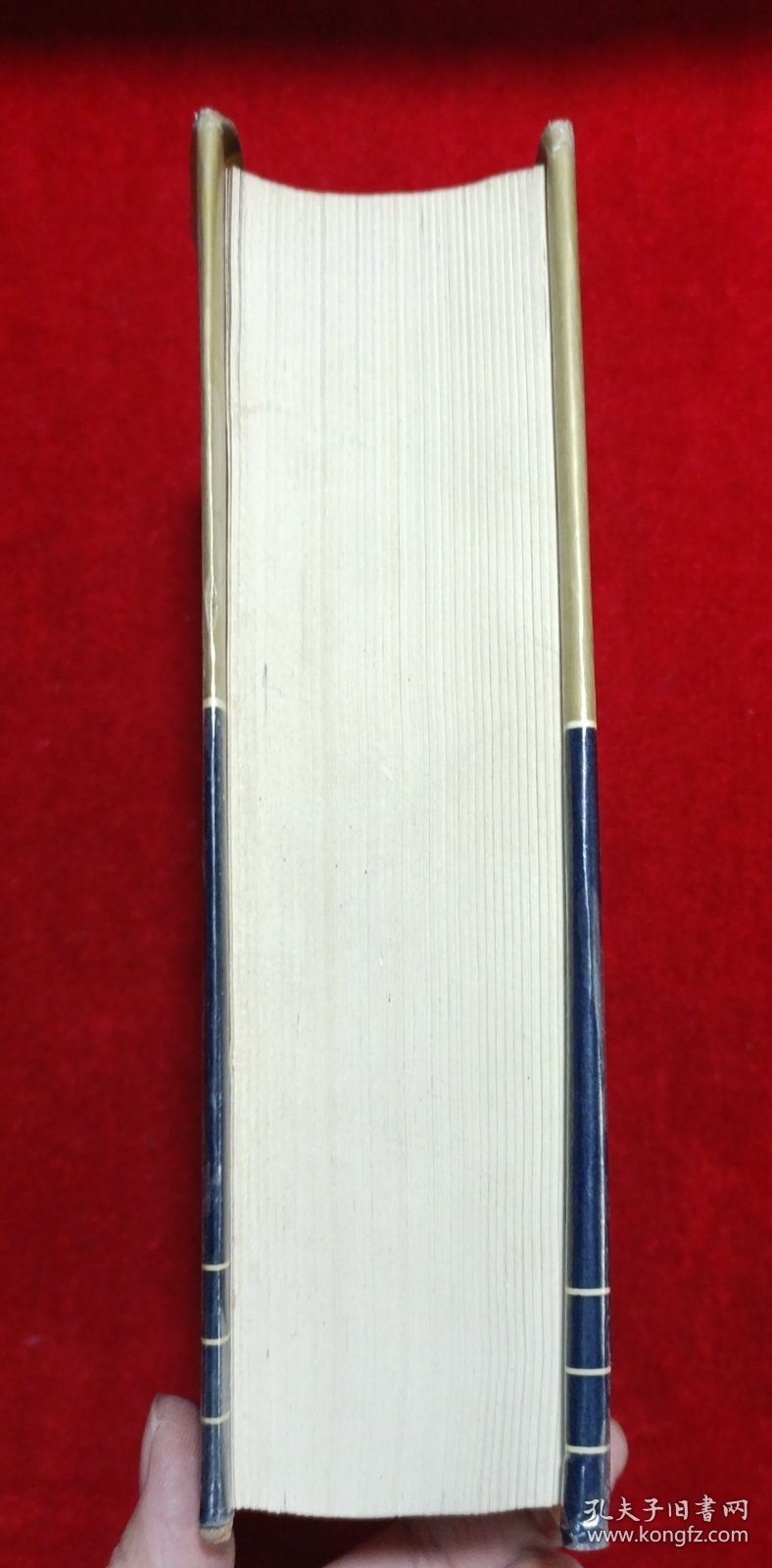 资本论辞典 （一版一印）