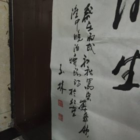 杨玉林书法