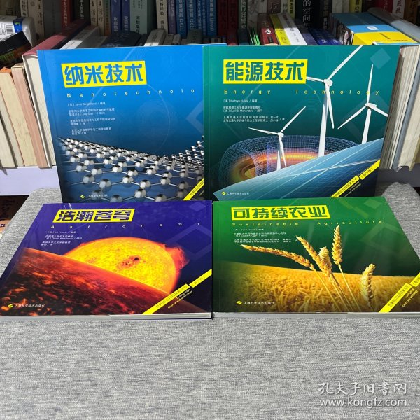 世界前沿科技探索丛书【青少版】纳米技术 能源技术 浩瀚苍穹 可持续农业4本合售
