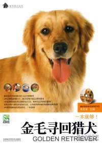 【正版】金毛寻回猎犬-驯养细节指导DVD9787538446449