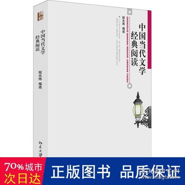 中国当代文学经典阅读