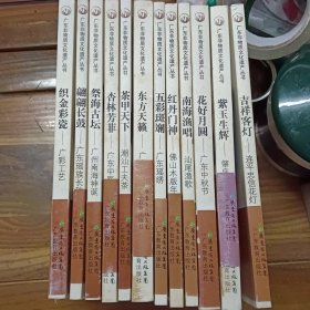 广东非物质文化遗产丛书，12册合售