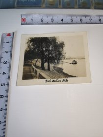 吉林旧景！！老照片---五十年代！《松花江游舟》！