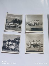 1965年省委青岛社教团合影老照片一组