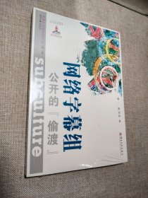 网络字幕组：公开的“偷渡”