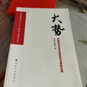 大势 中国信息经济发展趋势与策略选择