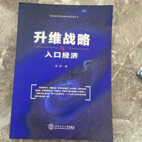 升维战略与入口经济