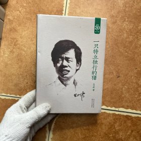 一只特立独行的猪，C0334