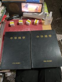 中华绝学 中下册