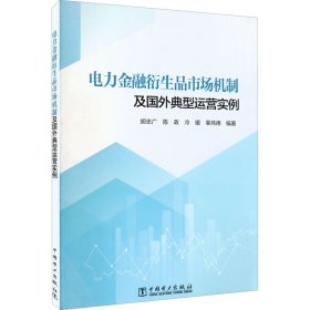 电力金融衍生品市场机制及国外典型运营实例