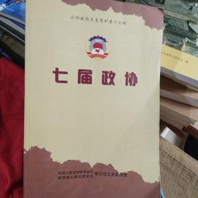 山阳政协文史资料第十七辑七届政协