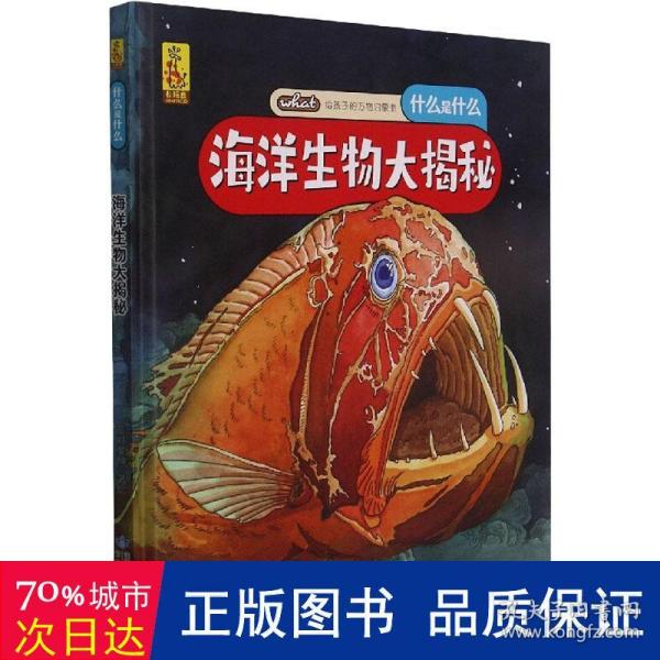 给孩子的万物启蒙书：海洋生物大揭秘