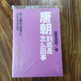 唐朝到底是怎么回事.5：乱世风云