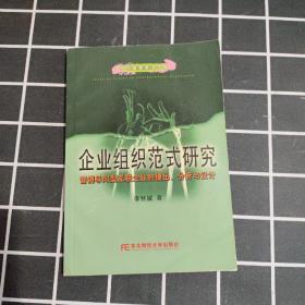 企业组织范式研究营销导向型互联企业的提出、分析与设计