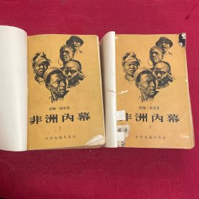 非洲内幕 上下