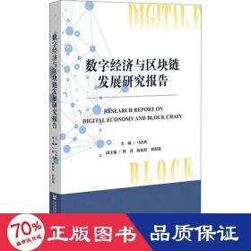 数字经济与区块链发展研究报告 经济理论、法规 作者