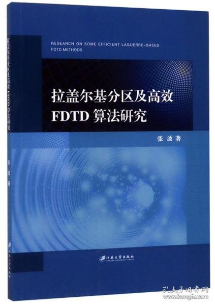 拉盖尔基分区及高效FDTD算法研究