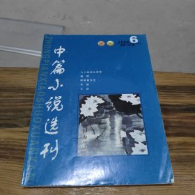 中篇小说选刊 2008 6