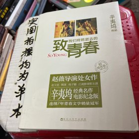 致我们终将逝去的青春：电影纪念版