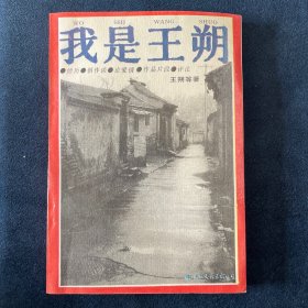 我是王朔
