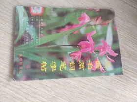 元曲名篇钢笔字帖