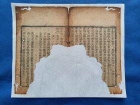 古籍散页【红楼梦】一页 ，编号 14，破损缺纸比较严重，已经手工托纸。这是一张古籍散页，不是一本书，作品尺寸：24*20厘米。