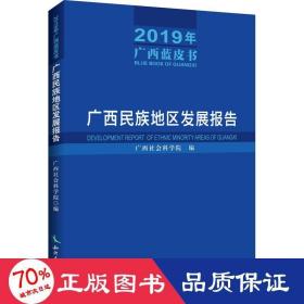 广西民族地区发展报告（2019年广西蓝皮书）——广西民族地区发展报告