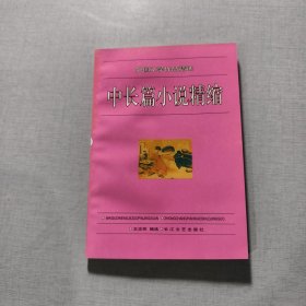 中长篇小说精缩