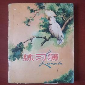 《练习本》24开 花面练习本 手绘服装裁剪 五六十年代 私藏 书品如图