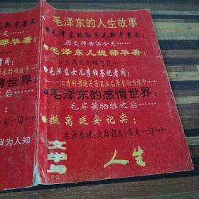 毛泽东的人生故事 文学与人生1993年
