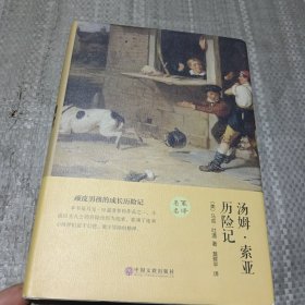 汤姆·索亚历险记