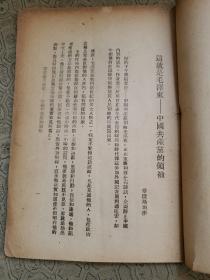 毛泽东印象 1948年  封面为红色地图