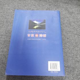 甘孜新跨越:甘孜藏族自治州国民经济和社会发展第十一个五年规划