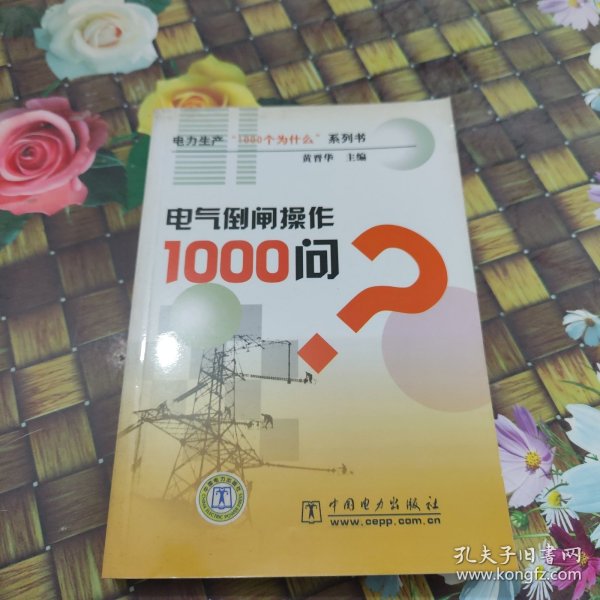 电气倒闸操作1000问？