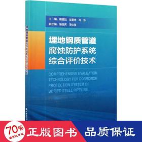 埋地钢质管道腐蚀防护系统综合评价技术