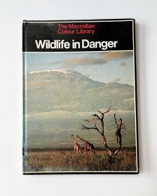 Wildlife in Danger濒危野生动物