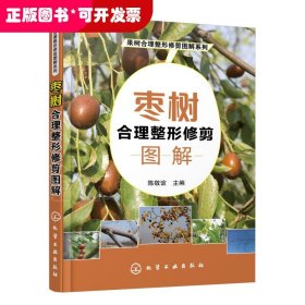 果树合理整形修剪图解系列--枣树合理整形修剪图解