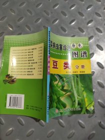 蔬菜病虫害诊治原色图谱：白菜 甘蓝类分册