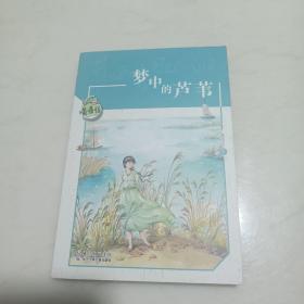 黄蓓佳儿童文学系列:梦中的芦苇