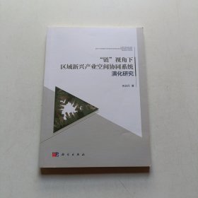 “链”视角下区域新兴产业空间协同系统演化研究