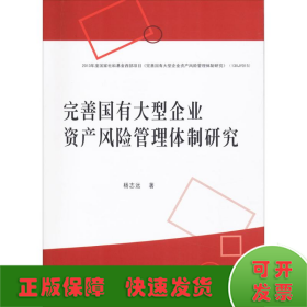 完善国有大型企业资产风险管理体制研究