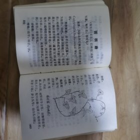 常用草药治疗手册