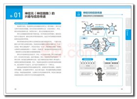 漫画基础医学：读懂解剖生理学 9787518428281