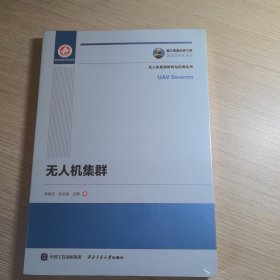 国之重器出版工程 无人机集群