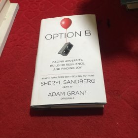 Option B: Facing Adversity, Building Resilience, and Finding Joy（精裝）