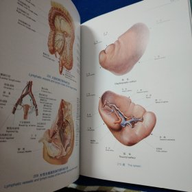 人体解剖彩色图谱(第3版）