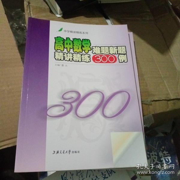 高中数学难题新题精讲精练300例