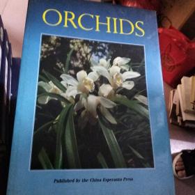 ORCHIDS—兰花