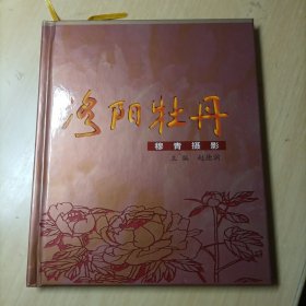 洛阳牡丹:穆青摄影