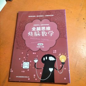 烧脑数学/全脑思维 进阶篇